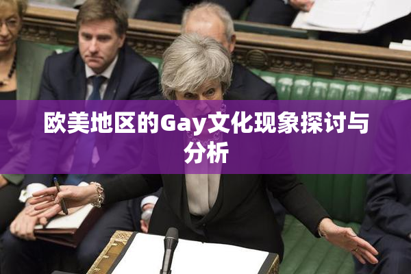 欧美地区的Gay文化现象探讨与分析