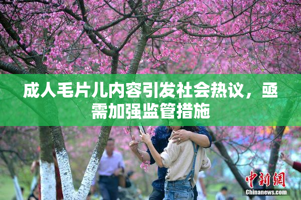 成人毛片儿内容引发社会热议，亟需加强监管措施