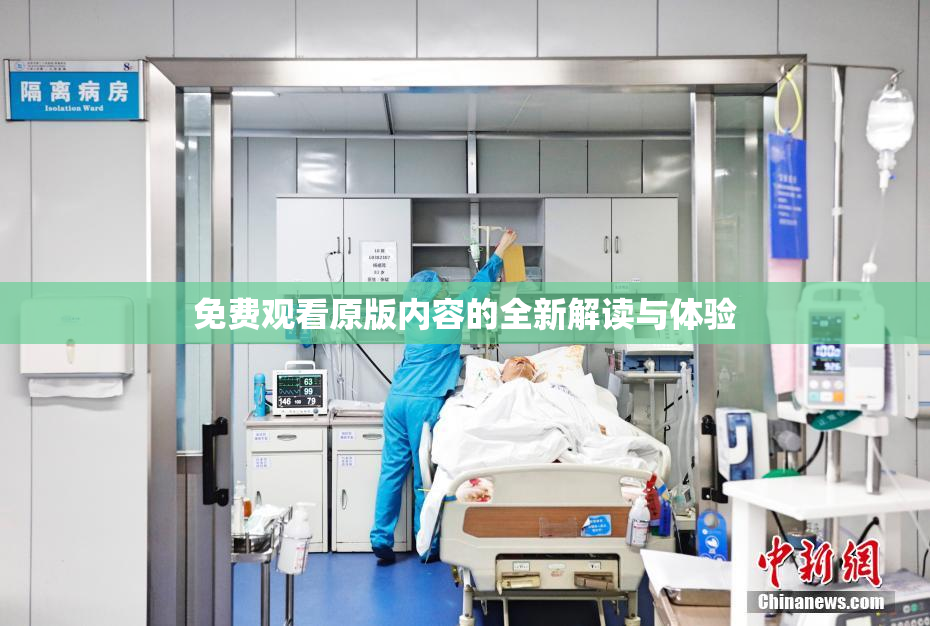 免费观看原版内容的全新解读与体验