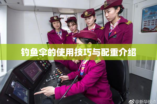 钓鱼伞的使用技巧与配重介绍
