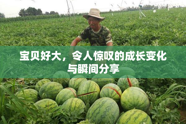 宝贝好大，令人惊叹的成长变化与瞬间分享