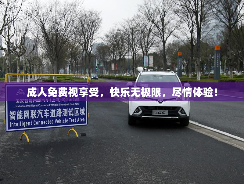成人免费视享受，快乐无极限，尽情体验！