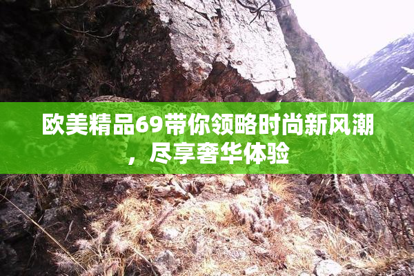 欧美精品69带你领略时尚新风潮，尽享奢华体验
