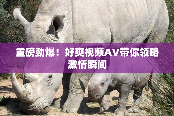 重磅劲爆！好爽视频AV带你领略激情瞬间