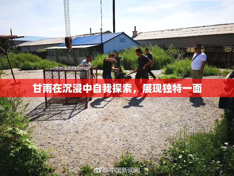 甘雨在沉浸中自我探索，展现独特一面
