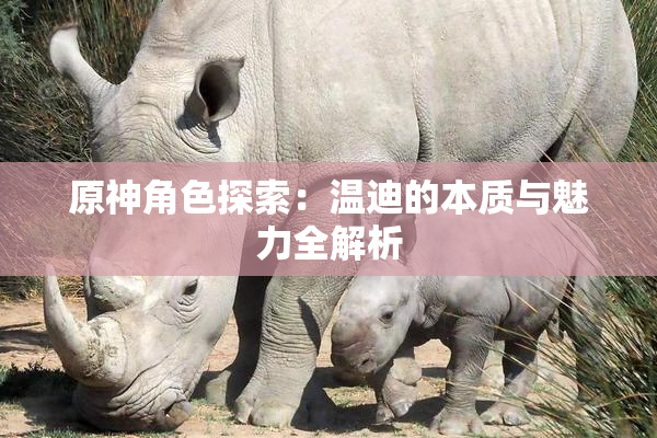 原神角色探索：温迪的本质与魅力全解析