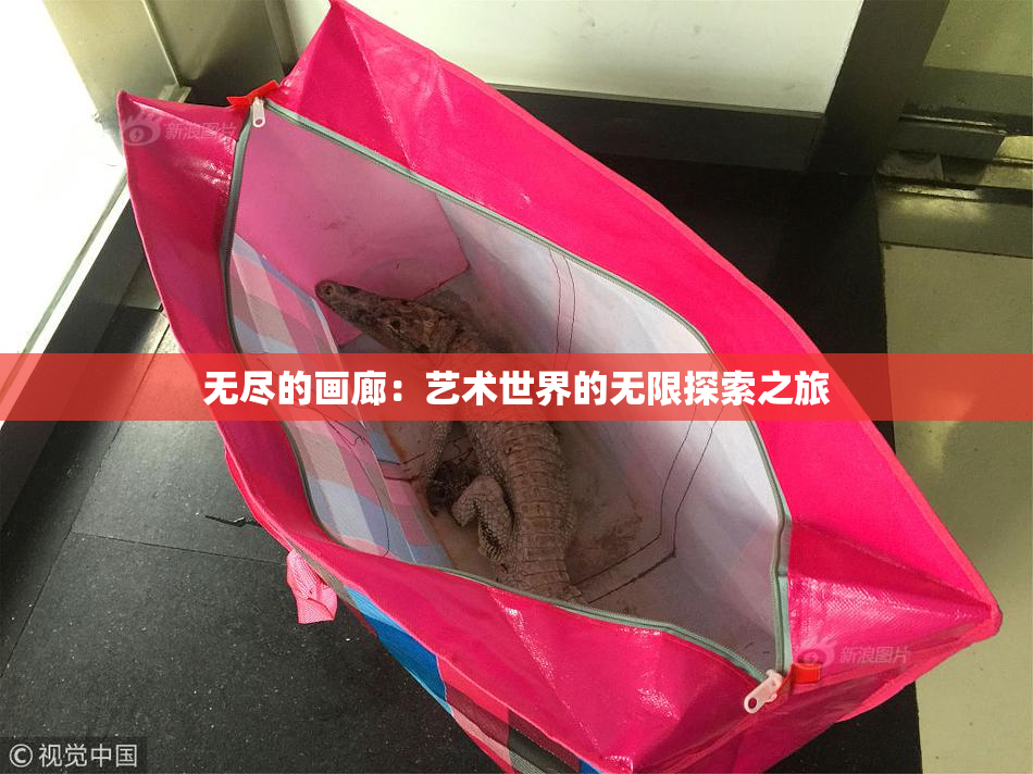 无尽的画廊：艺术世界的无限探索之旅