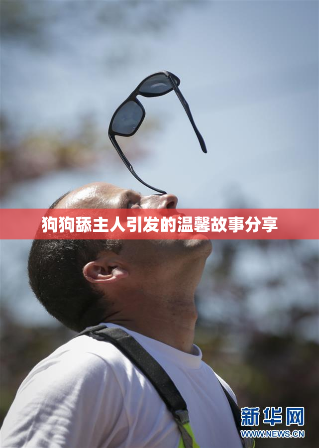 狗狗舔主人引发的温馨故事分享