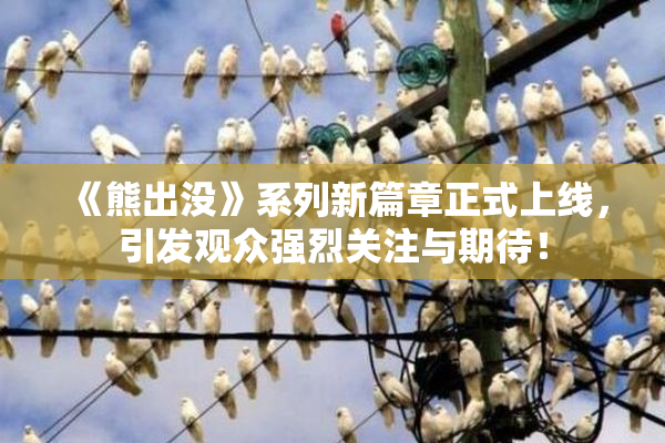 《熊出没》系列新篇章正式上线，引发观众强烈关注与期待！