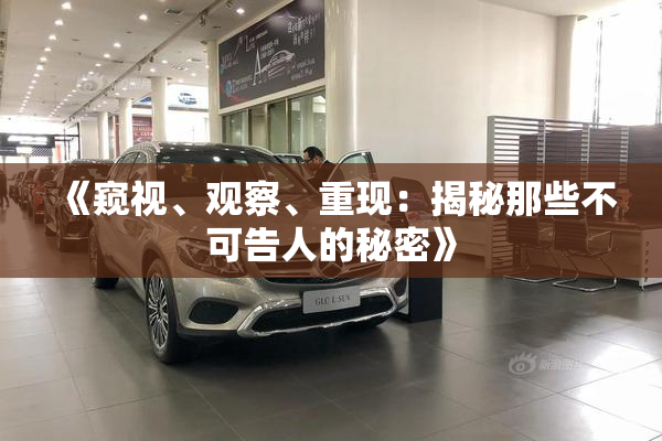 《窥视、观察、重现：揭秘那些不可告人的秘密》