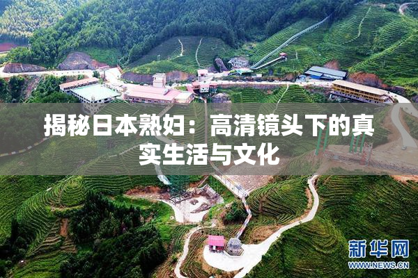 揭秘日本熟妇：高清镜头下的真实生活与文化