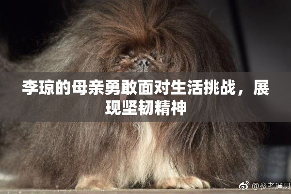 李琼的母亲勇敢面对生活挑战，展现坚韧精神