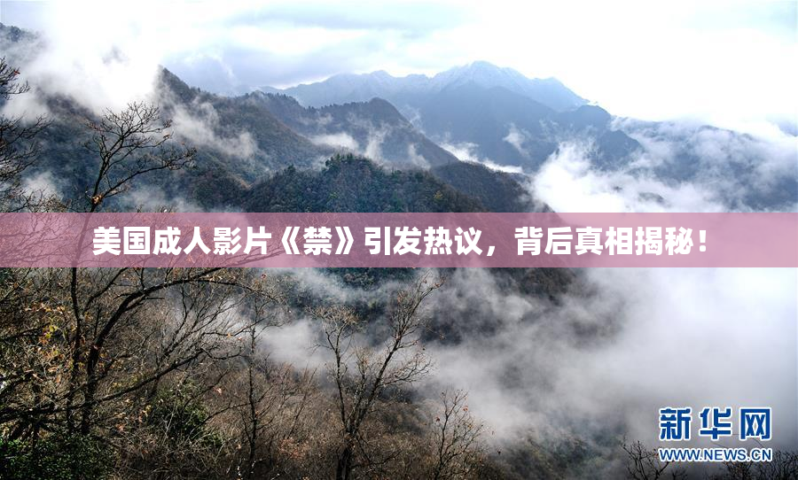 美国成人影片《禁》引发热议，背后真相揭秘！