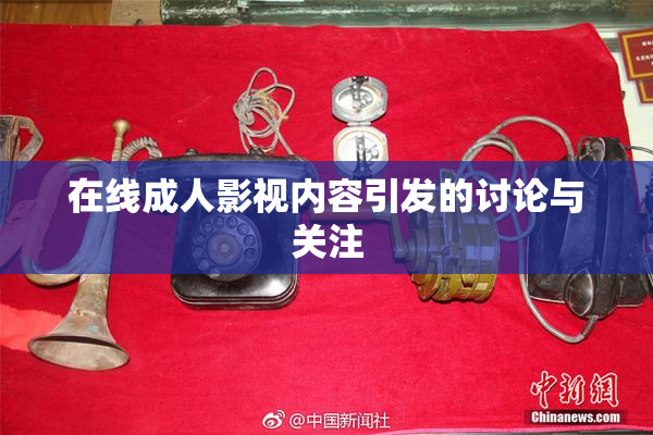 在线成人影视内容引发的讨论与关注