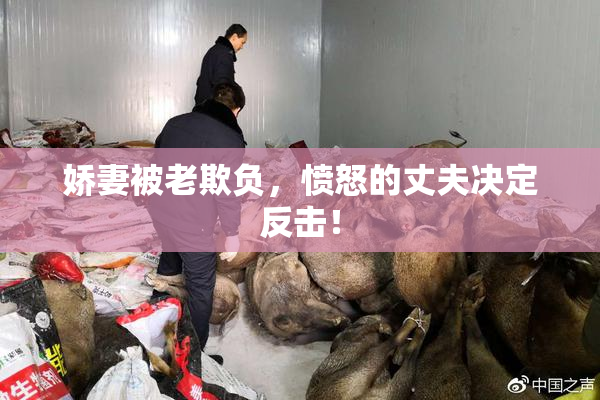 娇妻被老欺负，愤怒的丈夫决定反击！