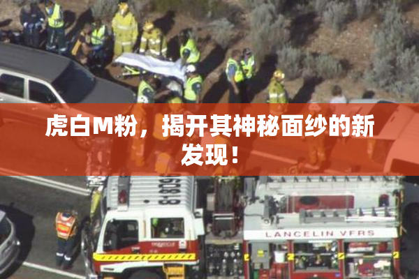 虎白M粉，揭开其神秘面纱的新发现！