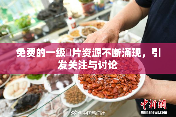 免费的一级婬片资源不断涌现，引发关注与讨论