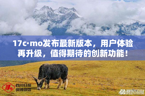17c·mo发布最新版本，用户体验再升级，值得期待的创新功能！