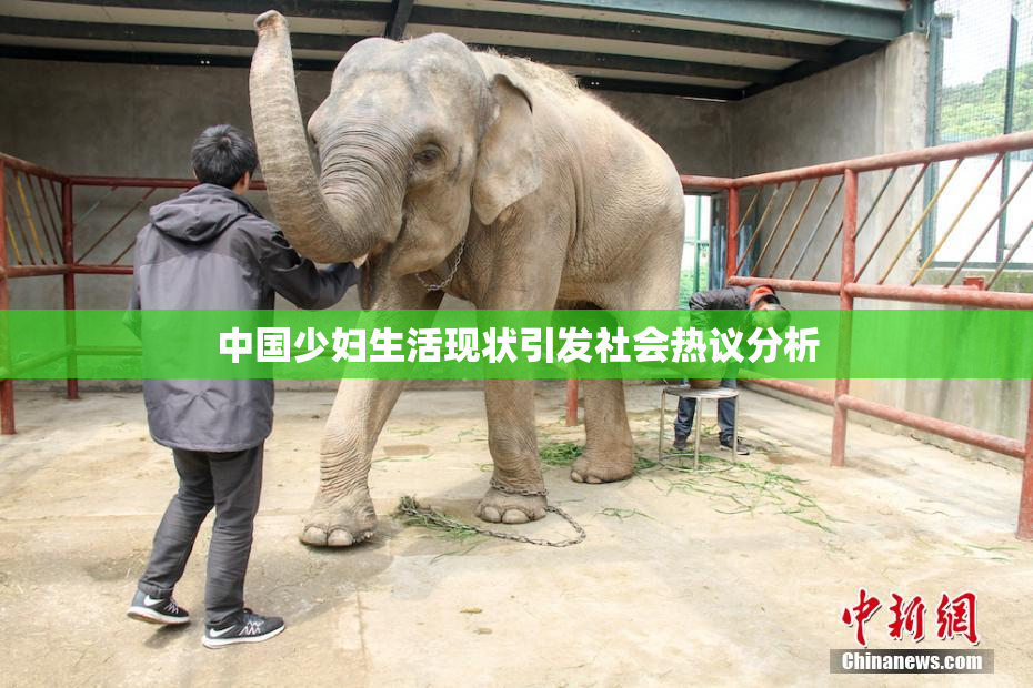 中国少妇生活现状引发社会热议分析