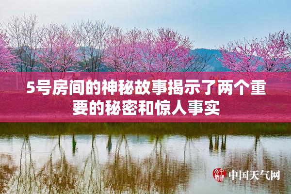 5号房间的神秘故事揭示了两个重要的秘密和惊人事实