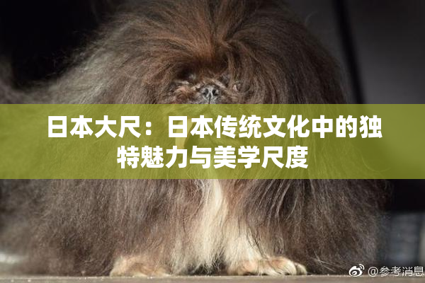 日本大尺：日本传统文化中的独特魅力与美学尺度
