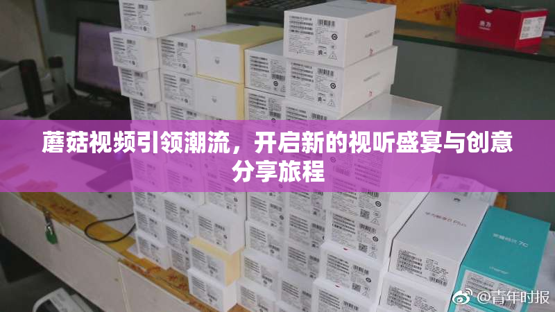 蘑菇视频引领潮流，开启新的视听盛宴与创意分享旅程