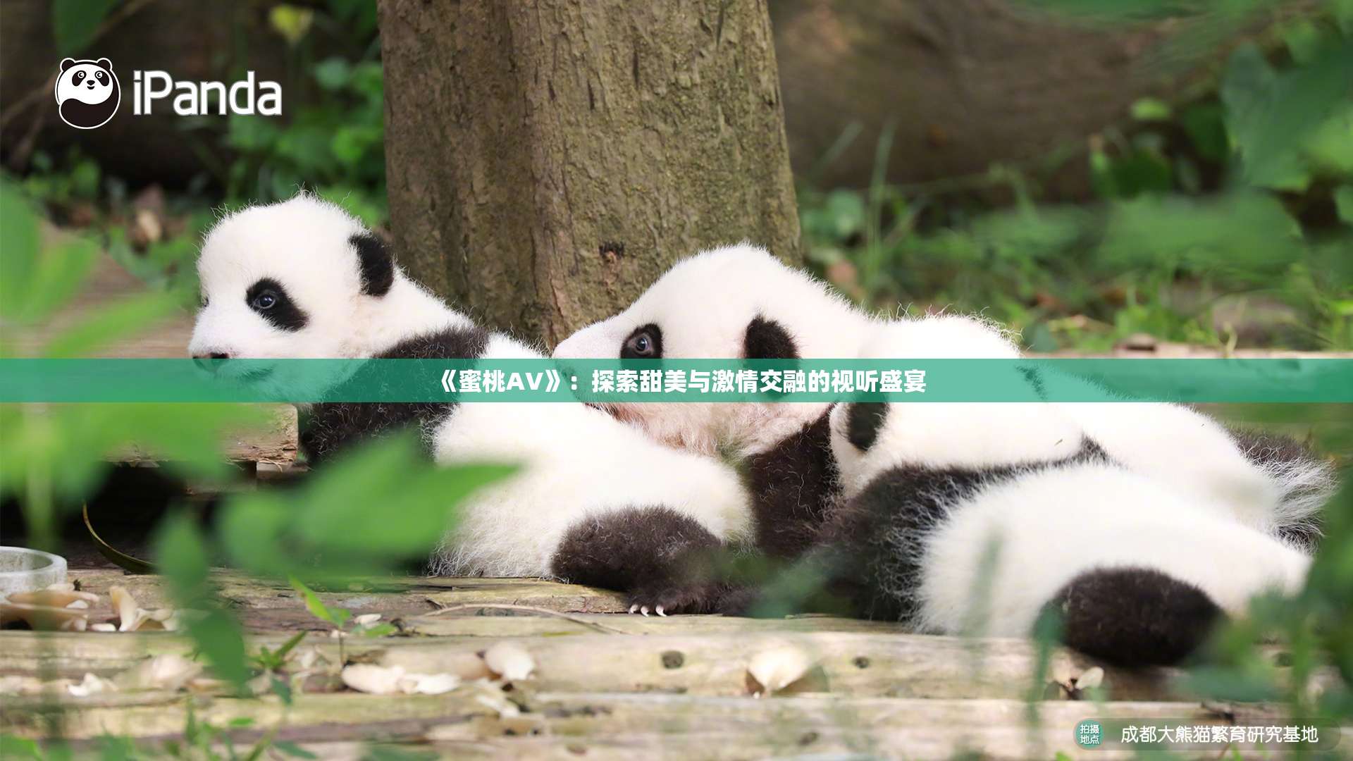 《蜜桃AV》：探索甜美与激情交融的视听盛宴