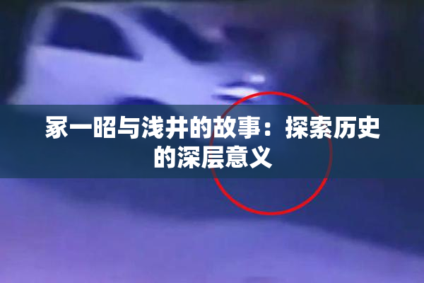 冢一昭与浅井的故事：探索历史的深层意义