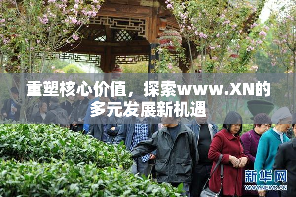 重塑核心价值，探索www.XN的多元发展新机遇
