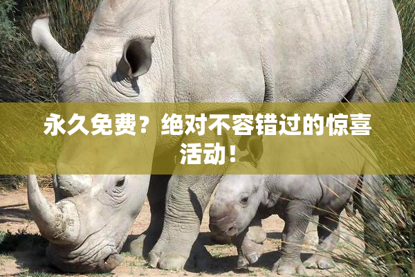 永久免费？绝对不容错过的惊喜活动！