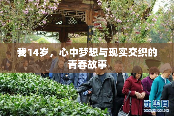 我14岁，心中梦想与现实交织的青春故事