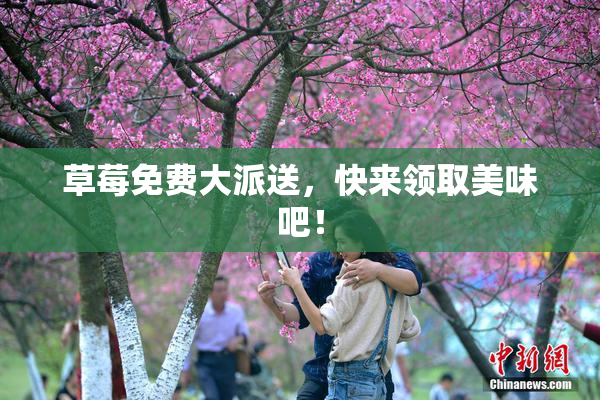 草莓免费大派送，快来领取美味吧！