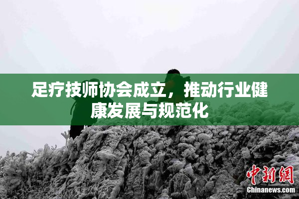 足疗技师协会成立，推动行业健康发展与规范化