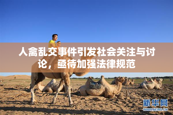 人禽乱交事件引发社会关注与讨论，亟待加强法律规范