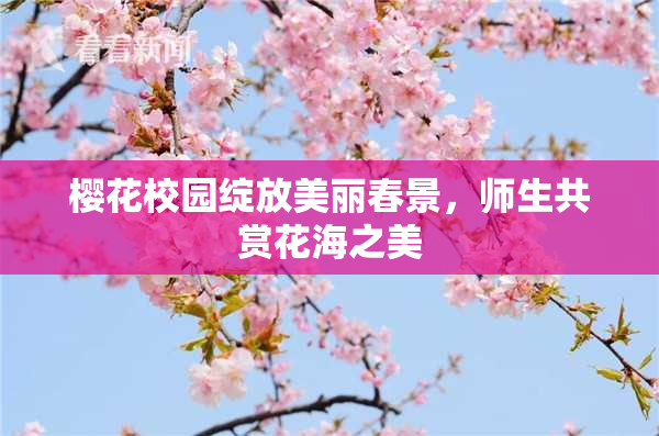 樱花校园绽放美丽春景，师生共赏花海之美
