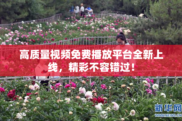高质量视频免费播放平台全新上线，精彩不容错过！