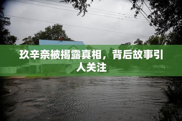 玖辛奈被揭露真相，背后故事引人关注