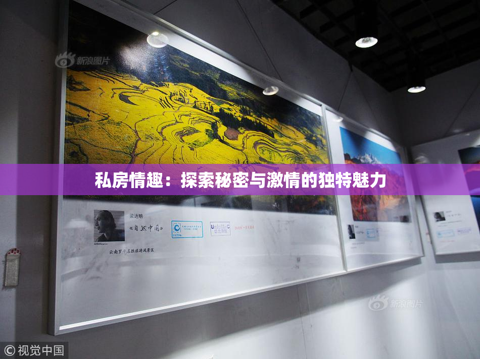 私房情趣：探索秘密与激情的独特魅力