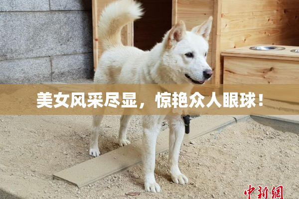 美女风采尽显，惊艳众人眼球！
