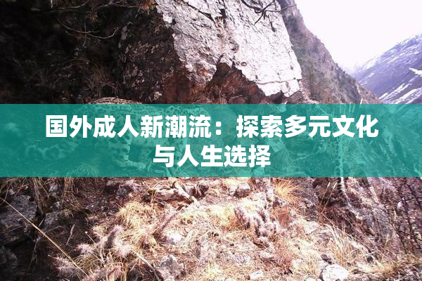 国外成人新潮流：探索多元文化与人生选择