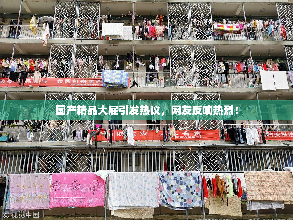 国产精品大屁引发热议，网友反响热烈！