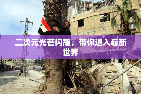 二次元光芒闪耀，带你进入崭新世界