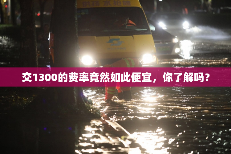 交1300的费率竟然如此便宜，你了解吗？