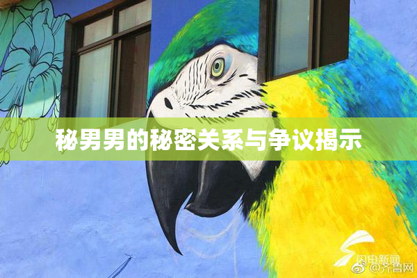 秘男男的秘密关系与争议揭示