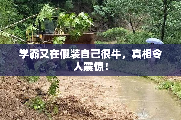 学霸又在假装自己很牛，真相令人震惊！