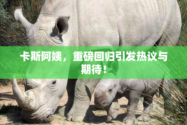 卡斯阿姨，重磅回归引发热议与期待！
