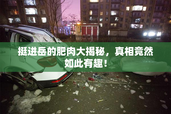 挺进岳的肥肉大揭秘，真相竟然如此有趣！