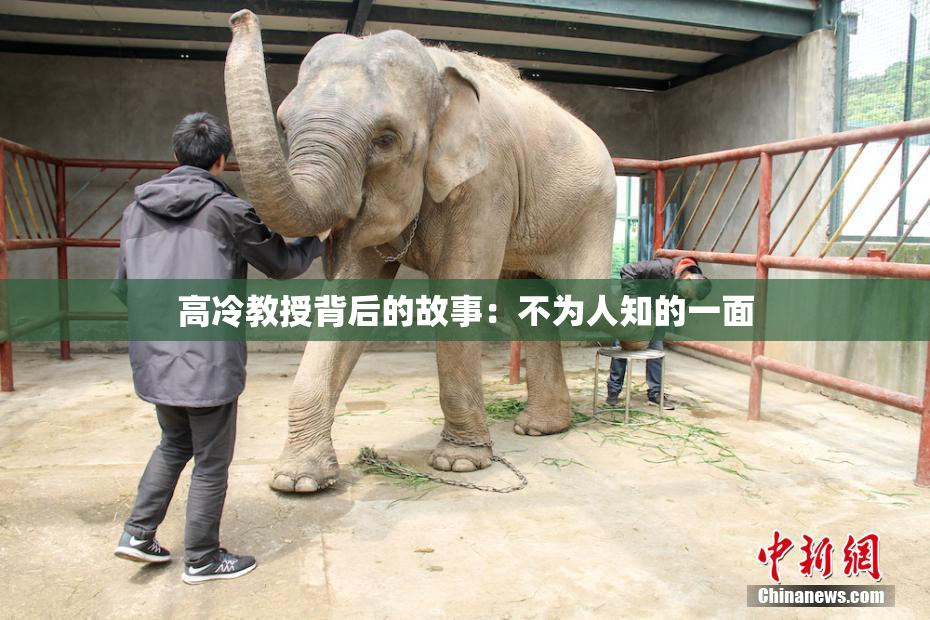 高冷教授背后的故事：不为人知的一面