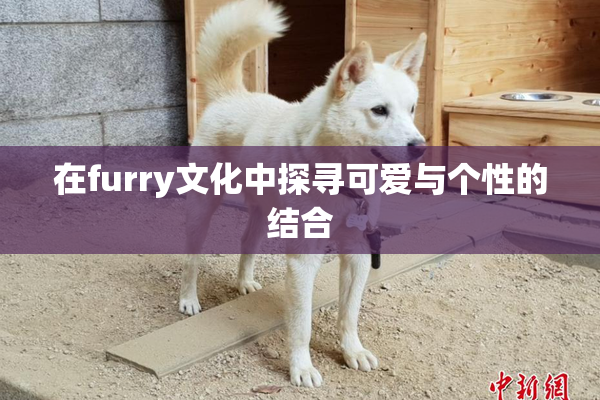 在furry文化中探寻可爱与个性的结合