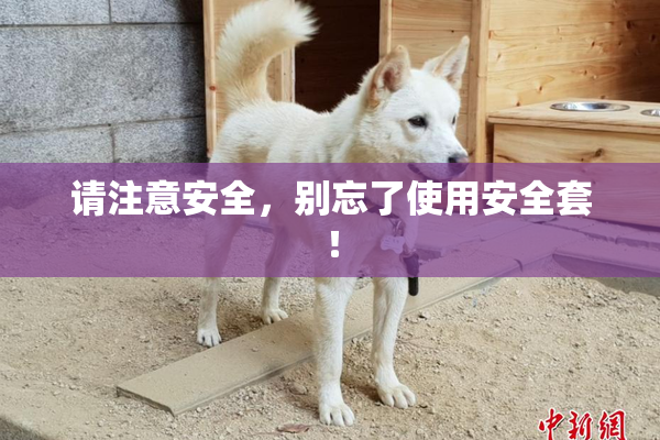 请注意安全，别忘了使用安全套！